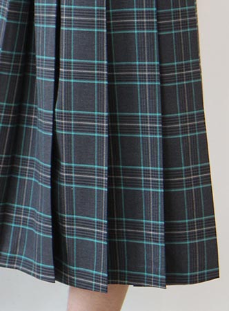 pleats check midi skirt (2 colors)