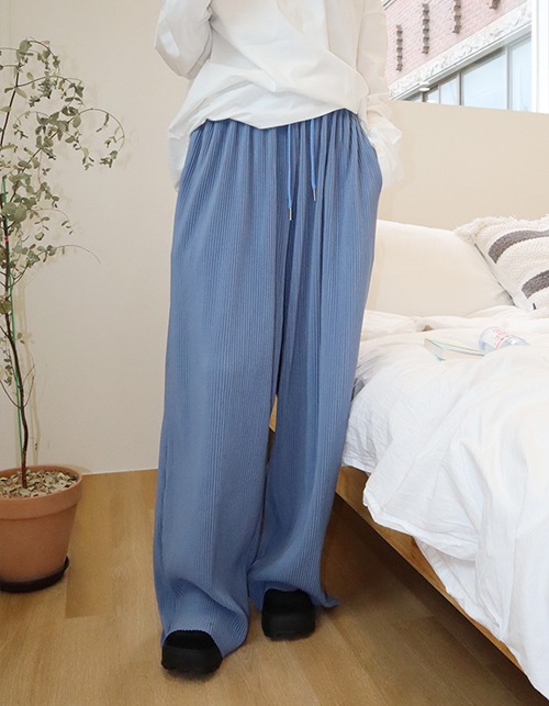 FW wide pleats pants (5 colors)