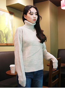 turtleneck sweater (2 color)