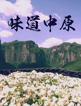 味道中原海报
