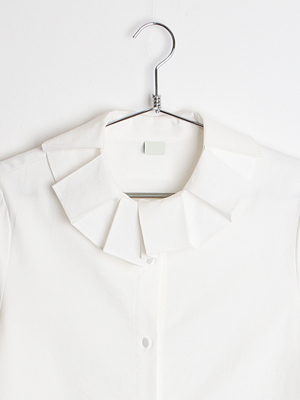 pleats collar blouse (only white)